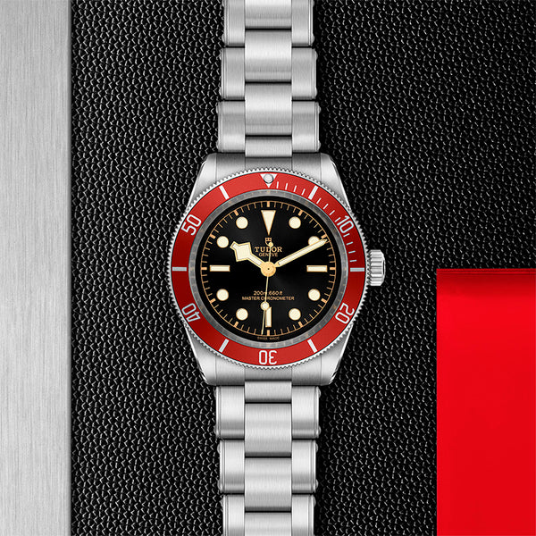TUDOR BLACK BAY 41MM (Image 2)