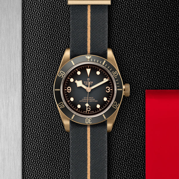 TUDOR BLACK BAY BRONZE 43MM (Image 2)