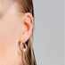 ARGYLE ELLIPSE EARRINGS 2023 LIMITED EDITION (Thumbnail 4)