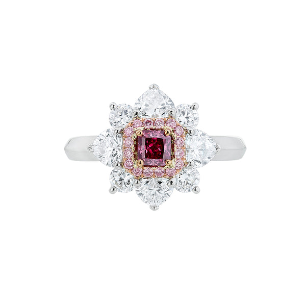 ARGYLE PINK 'RADIANCE' RING - ARGYLE HERITAGE COLLECTION (Image 1)