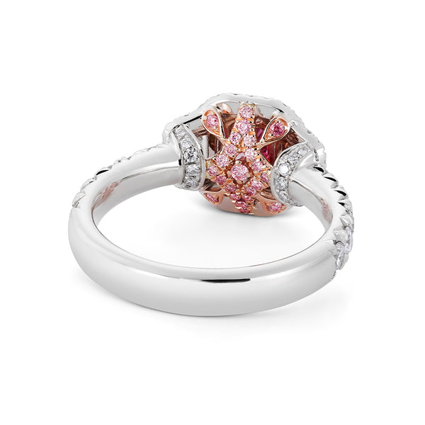 ARGYLE PINK 'ELEGANCE' RING - ARGYLE HERITAGE COLLECTION (Image 2)