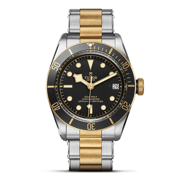 TUDOR BLACK BAY DATE S&G 41MM (Image 1)