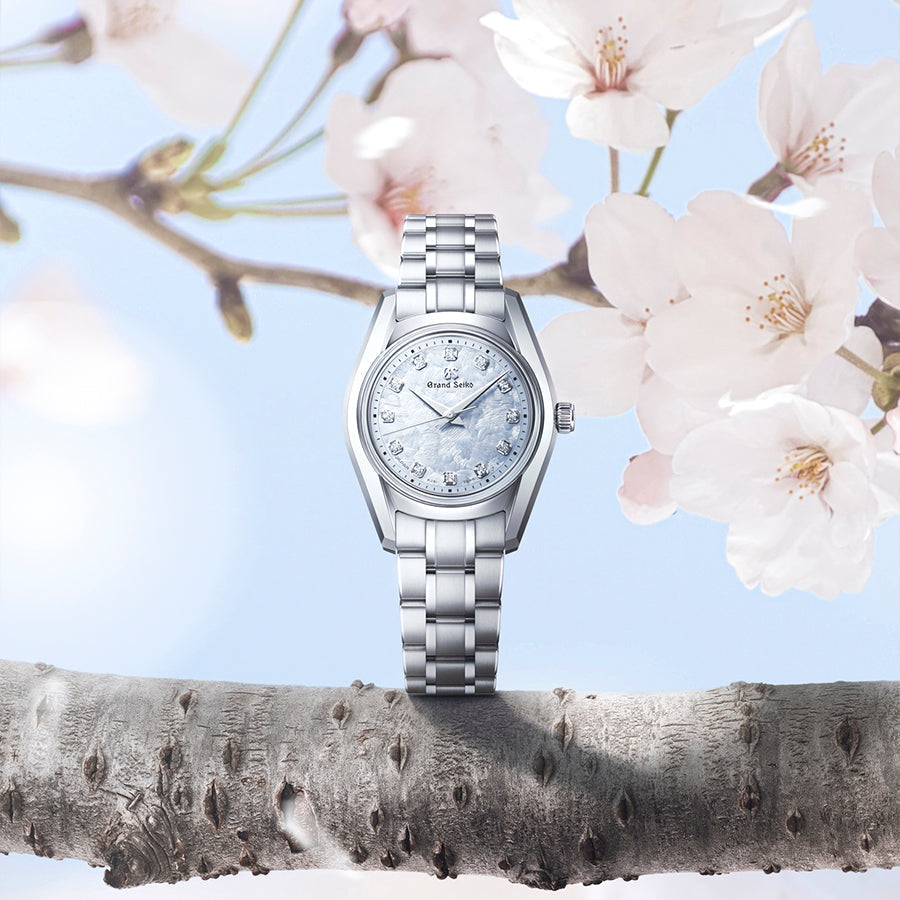 TIMELESS MINIMALISM - NOVEMBER 2025 NEWS