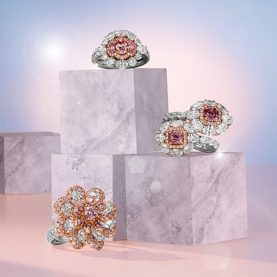 A GIFT THAT SPEAKS FROM THE HEART - NOVEMBER 2025 NEWS