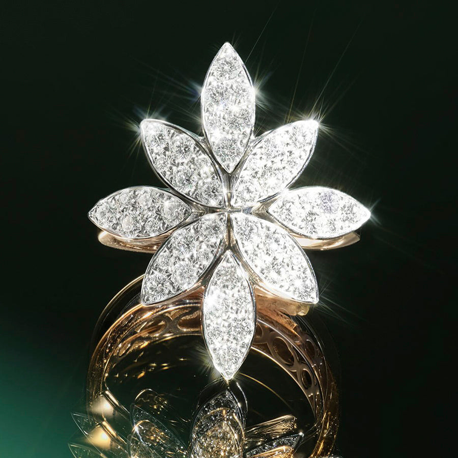 MAKE 2026 THE YEAR OF YOUR SPARKLE - DECEMBER 2025 NEWS