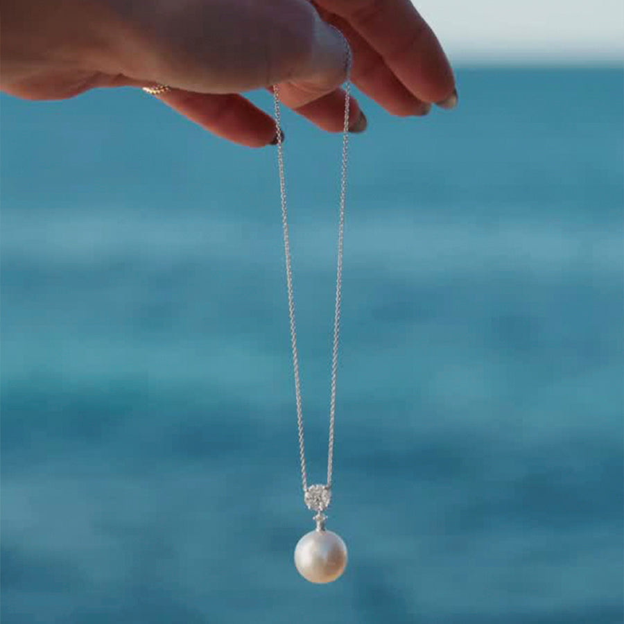 THE OCEAN'S GIFT - DECEMBER 2025 NEWS