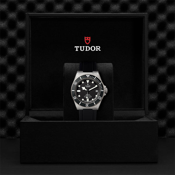 TUDOR PELAGOS 42MM (Image 6)