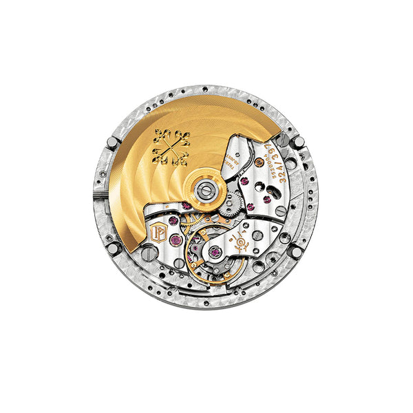 PATEK PHILIPPE COMPLICATIONS (Image 7)