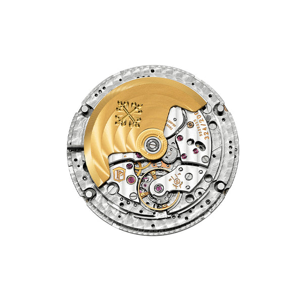 PATEK PHILIPPE COMPLICATIONS (Image 6)