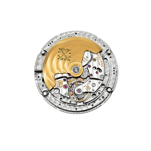 PATEK PHILIPPE COMPLICATIONS (Image 6)