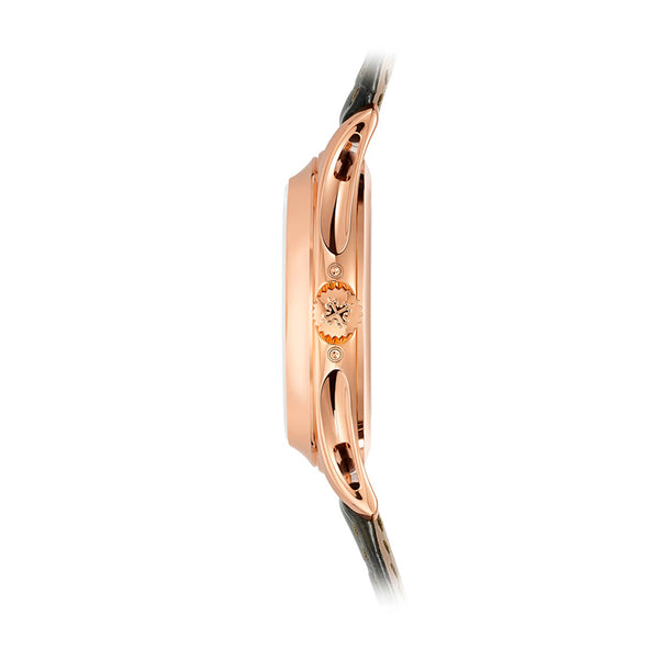 PATEK PHILIPPE COMPLICATIONS (Image 2)