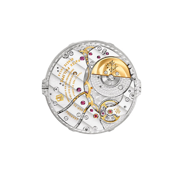 PATEK PHILIPPE COMPLICATIONS (Image 5)