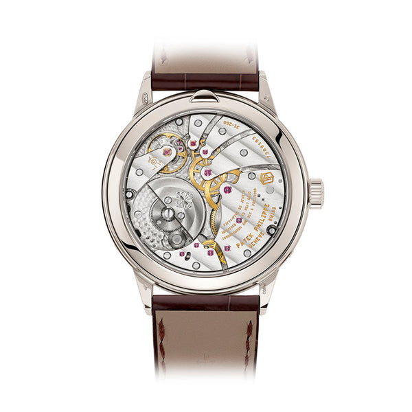 PATEK PHILIPPE GRAND COMPLICATIONS (Image 7)