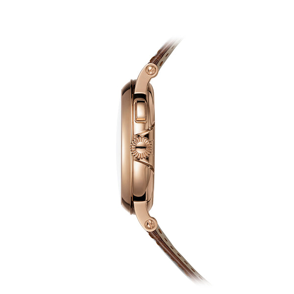 PATEK PHILIPPE COMPLICATIONS (Image 2)