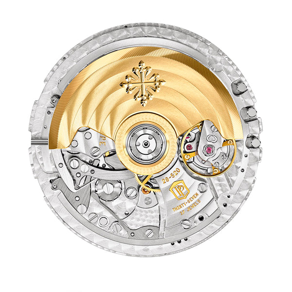 PATEK PHILIPPE COMPLICATIONS (Image 6)