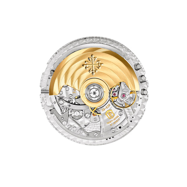 PATEK PHILIPPECOMPLICATIONS (Image 6)