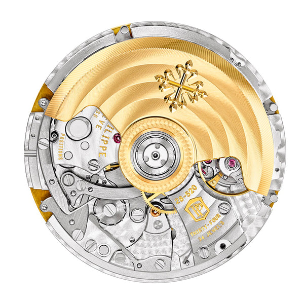 PATEK PHILIPPE COMPLICATIONS (Image 6)