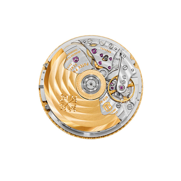 PATEK PHILIPPE COMPLICATIONS (Image 5)