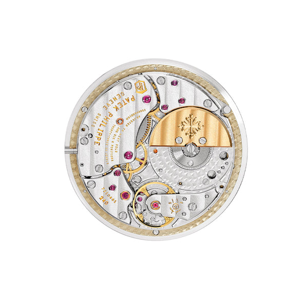 PATEK PHILIPPE COMPLICATIONS (Image 5)