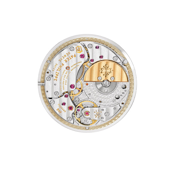 PATEK PHILIPPE COMPLICATIONS (Image 5)