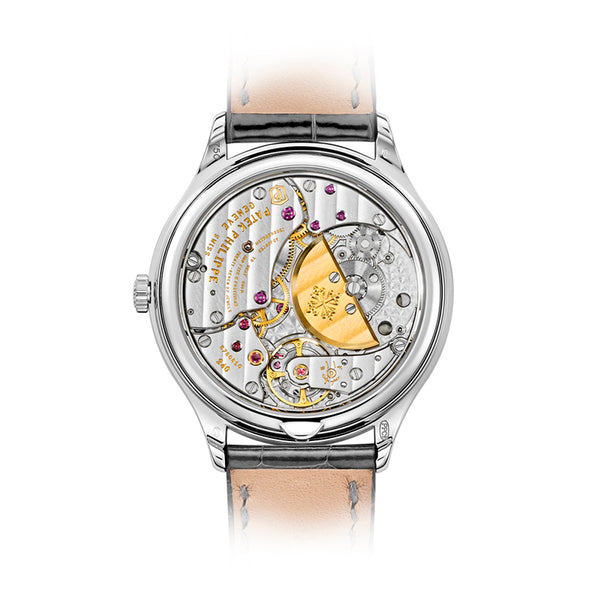PATEK PHILIPPE GRAND COMPLICATIONS (Image 6)
