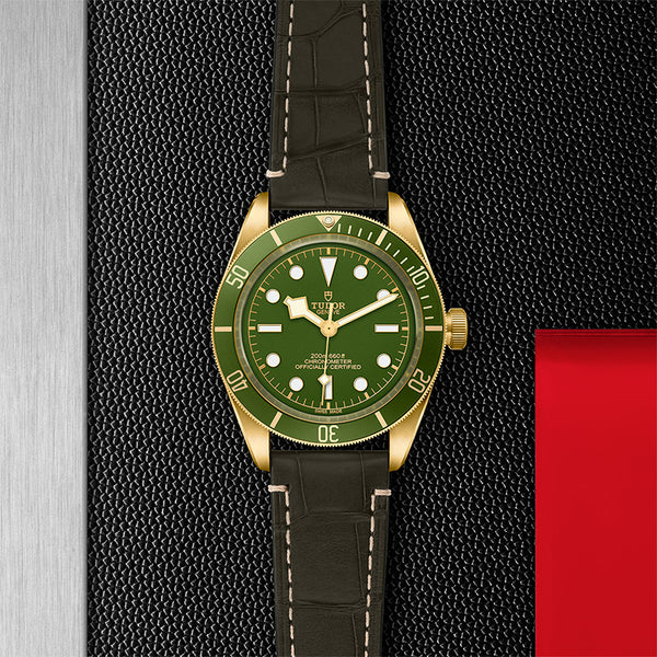 TUDOR BLACK BAY 58 39MM (Image 3)