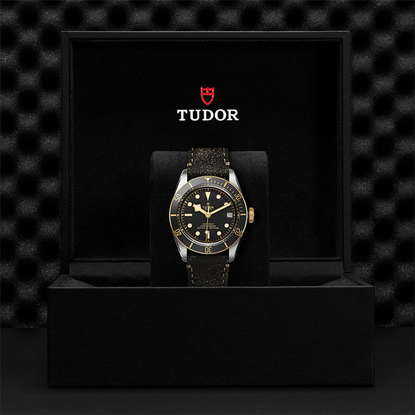 TUDOR BLACK BAY S&G (Image 3)