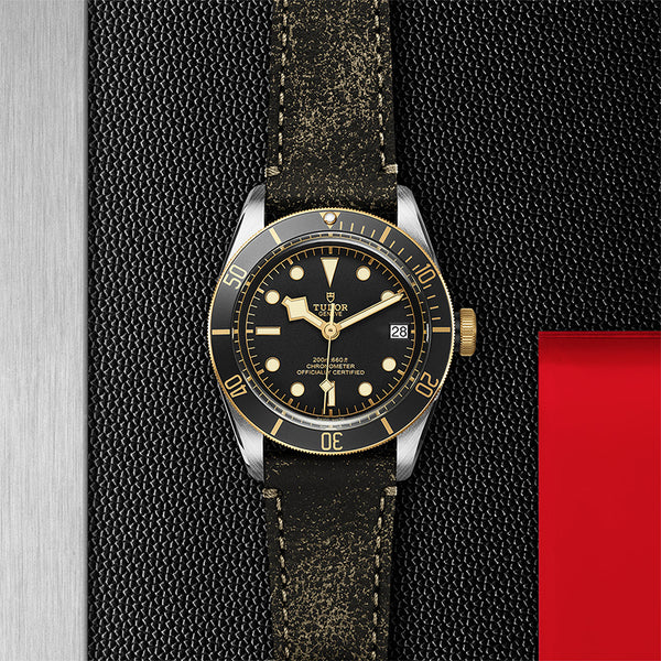 TUDOR BLACK BAY S&G (Image 2)