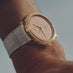 PARMIGIANI FLEURIER TORIC ROSE GOLD SMALL SECONDS DUNE (Thumbnail 5)