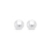 18CT WHITE GOLD SOUTH SEA PEARL STUD EARRINGS (Thumbnail 1)