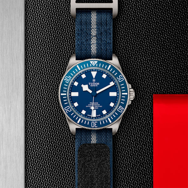 TUDOR PELAGOS FXD 42MM (Image 2)