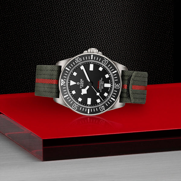 TUDOR PELAGOS FXD 42MM (Image 2)