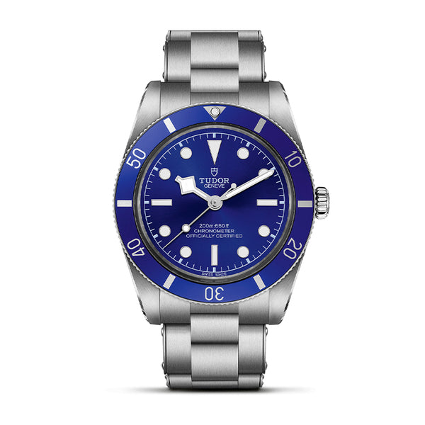 TUDOR BLACK BAY 54 (Image 1)