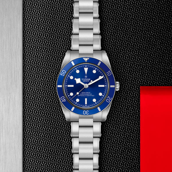 TUDOR BLACK BAY 54 (Image 2)