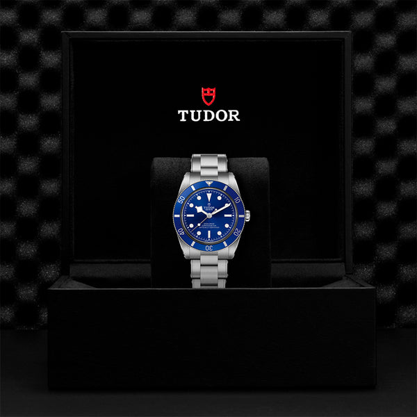 TUDOR BLACK BAY 54 (Image 3)