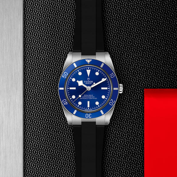 TUDOR BLACK BAY 54 (Image 2)