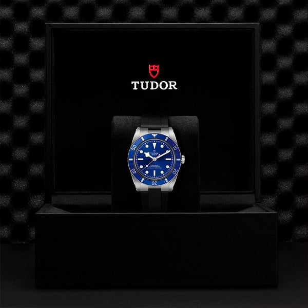 TUDOR BLACK BAY 54 (Image 3)