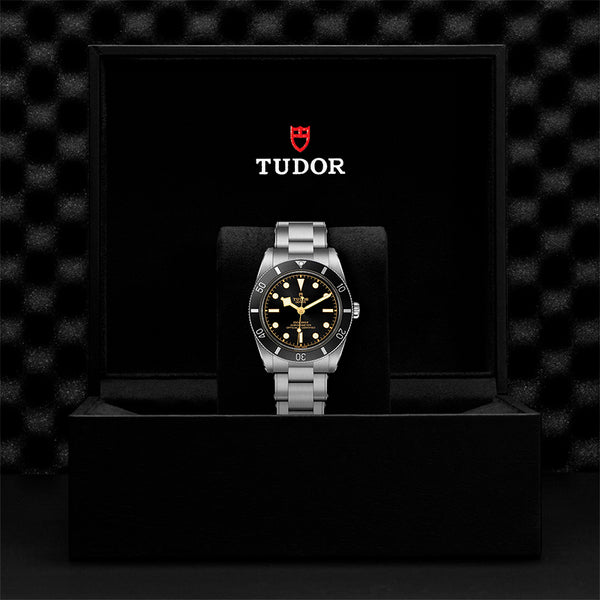 TUDOR BLACK BAY 54 (Image 3)