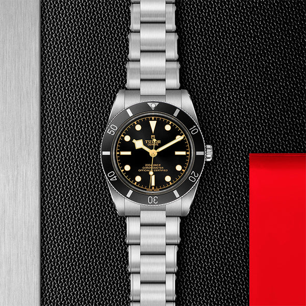 TUDOR BLACK BAY 54 (Image 2)
