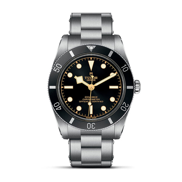 TUDOR BLACK BAY 54 (Image 1)