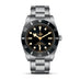 TUDOR BLACK BAY 54 (Thumbnail 1)