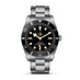 TUDOR BLACK BAY 54 (Thumbnail 1)