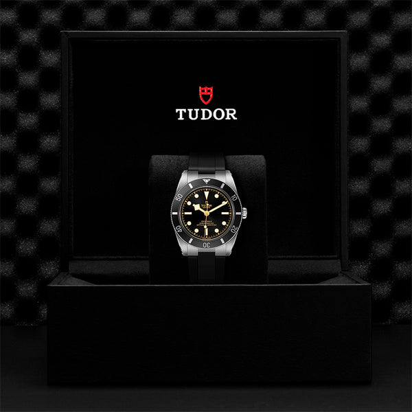 TUDOR BLACK BAY 54 37MM (Image 3)