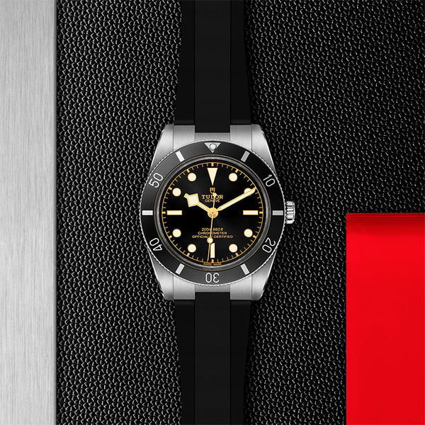 TUDOR BLACK BAY 54 37MM (Image 2)