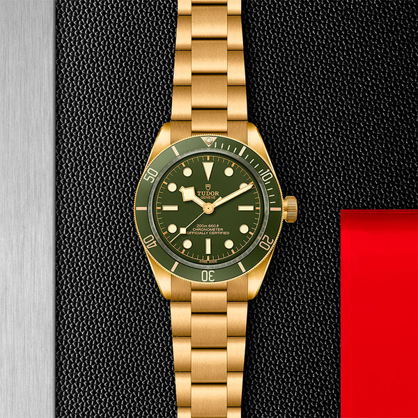 TUDOR BLACK BAY 58 18K 39MM (Image 2)