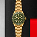 TUDOR BLACK BAY 58 18K 39MM (Thumbnail 2)