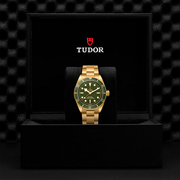 TUDOR BLACK BAY 58 18K 39MM (Image 3)