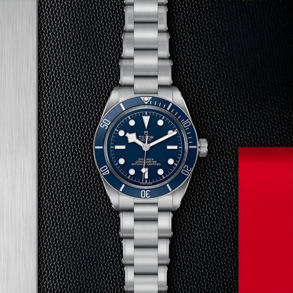 TUDOR BLACK BAY 58 39MM (Image 2)
