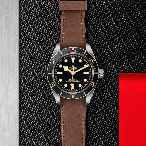 TUDOR BLACK BAY 58 39MM (Image 2)