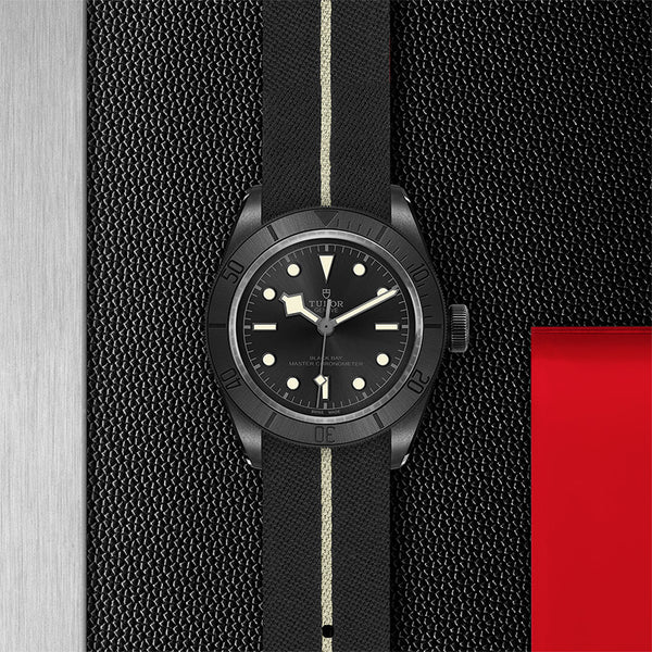 TUDOR HERITAGE BLACK BAY CERAMIC (Image 4)